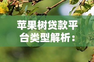 不上大数据的小贷2025年火速抢名额！点评​这5个稳定的借款平台