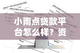 小雨点贷款平台怎么样？资质背景+申请攻略全面解析