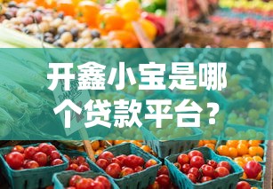 开鑫小宝是哪个贷款平台？产品背景及使用评测解析