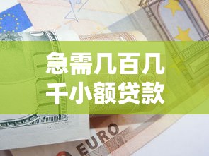急需几百几千小额贷款？正规平台推荐及申请技巧