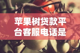 苹果树贷款平台客服电话是多少？贷款服务咨询与问题解答