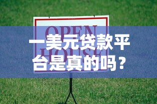一美元贷款平台是真的吗？低息借贷背后的风险与真相