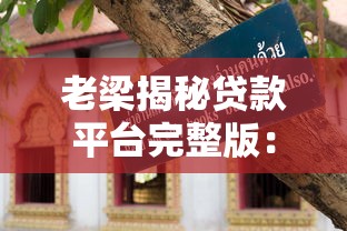 老梁揭秘贷款平台完整版：避坑指南与实战技巧解析