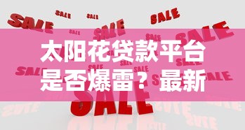 太阳花贷款平台是否爆雷？最新动态与用户应对策略