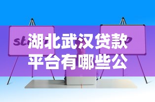 湖北武汉贷款平台有哪些公司？这10家正规机构值得推荐！
