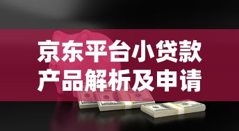 京东平台小贷款产品解析及申请指南