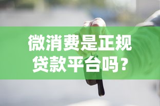 微消费是正规贷款平台吗？用户必看的5大关键点解析