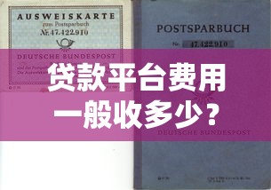 百分百通过贷款平台有哪些