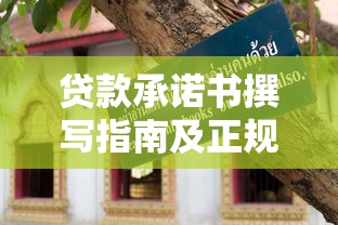 贷款承诺书撰写指南及正规平台选择技巧