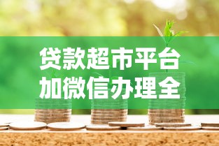 贷款超市平台加微信办理全攻略：安全借款必看指南