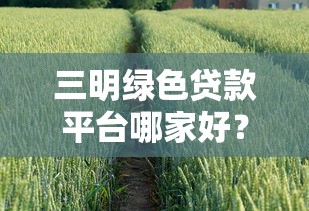 三明绿色贷款平台哪家好？2023年靠谱推荐及申请攻略