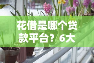 2025年最新贷款口子推荐大全