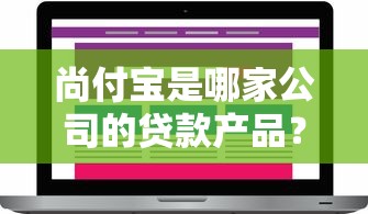 尚付宝是哪家公司的贷款产品？全面解析平台背景与使用攻略