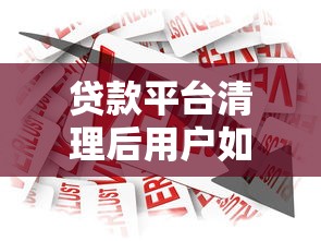 贷款平台清理后用户如何应对及行业影响解析