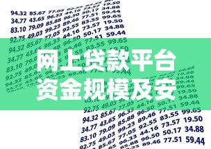网上贷款平台资金规模及安全保障解析