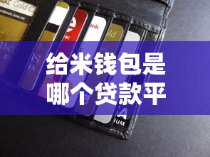 给米钱包是哪个贷款平台？深度解析正规性、申请流程及用户评价