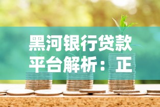 黑河银行贷款平台解析：正规借款渠道与申请流程全指南