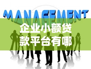企业小额贷款平台有哪些？10个正规渠道快速解决资金难题