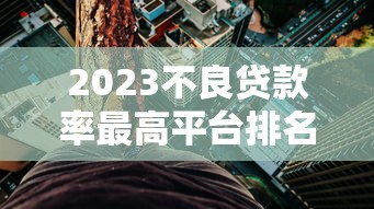 2023不良贷款率最高平台排名及风险预警
