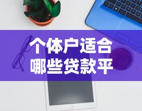 个体户适合哪些贷款平台？申请攻略与平台推荐