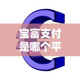 宝富支付是哪个平台的贷款？深度解析其背景与产品特点