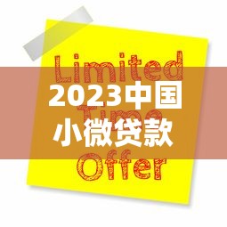 2023中国小微贷款平台排行榜：十大靠谱平台解析与申请攻略
