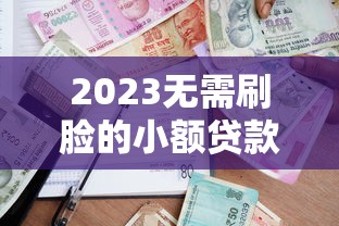 2023无需刷脸的小额贷款平台推荐  快速放款、隐私保障