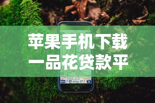 苹果手机下载一品花贷款平台指南：快速借款与安全操作攻略