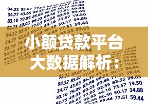 小额贷款平台大数据解析：如何提升借款效率与风险控制