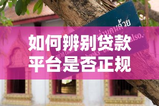 如何辨别贷款平台是否正规？8个技巧教你避坑