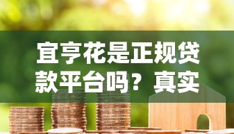 宜亨花是正规贷款平台吗？真实资质与用户使用体验解析