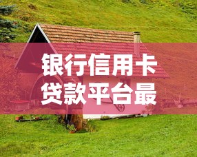 银行信用卡贷款平台最新动态解析：用户必看的贷款指南