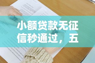 小额贷款无征信秒通过，五大16周岁贷款平台