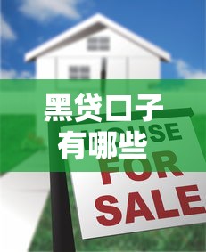 黑贷口子有哪些，总结五个没看征信的平台
