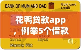 花鸭贷款app，例举5个借款平台不看负债容易借钱
