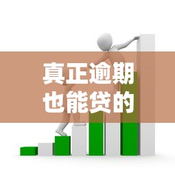 真正逾期也能贷的平台，分析五个贷款正规的平台