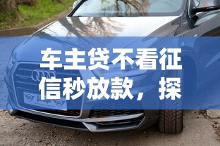 车主贷不看征信秒放款，探讨五款比较安全的贷款平台