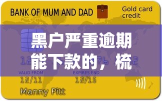 黑户严重逾期能下款的，梳理5个贷款平台好贷款