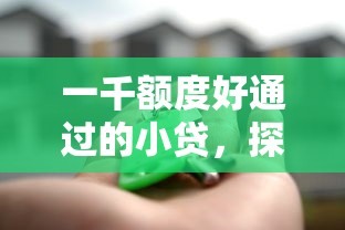 一千额度好通过的小贷，探讨五款借款平台贷款好通过
