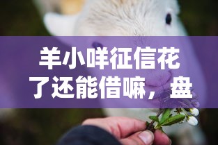 羊小咩征信花了还能借嘛，盘点五个哪些是正规的网贷平台