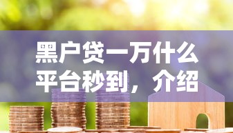 黑户贷一万什么平台秒到，介绍五个借款平台贷款利息又低又正规