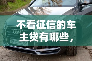不看征信的车主贷有哪些，汇总五个网上平台借钱不还会怎样
