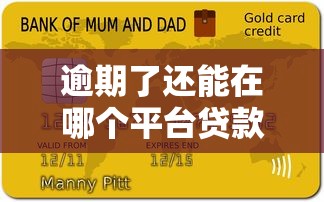 小鱼儿征信花了还能贷款通过吗