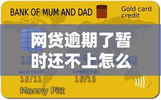 网贷逾期了暂时还不上怎么办，分析五个征信逾期能贷款的正规平台