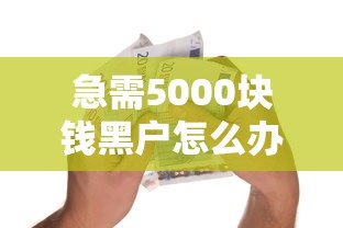 急需5000块钱黑户怎么办，探讨五款真实贷款平台