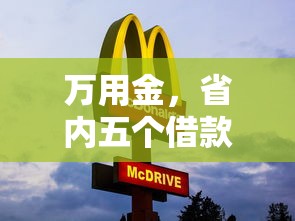 万用金，省内五个借款平台借钱快