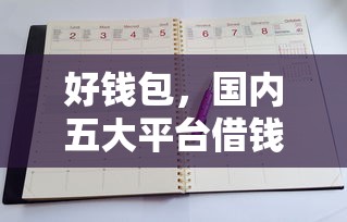 好钱包，国内五大平台借钱正规利息最低