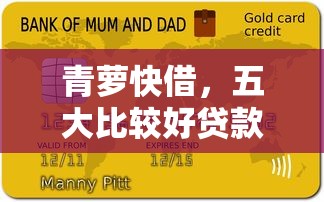 青萝快借，五大比较好贷款的平台