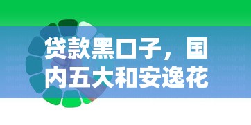 贷款黑口子,国内五大和安逸花一样的平台还 贷款黑口子,国内五大和安逸花一样的平台还
