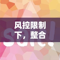 风控限制下，整合5个征信花而且其他软件借不出钱了还可以借到钱100%通过的平台